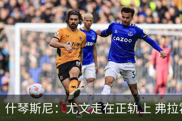 什琴斯尼：尤文走在正轨上 弗拉霍维奇非常出色